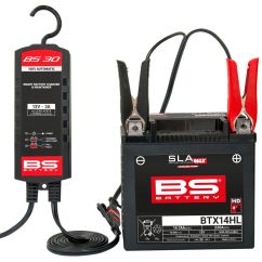 Prise Royaume-Uni pour chargeur BS30