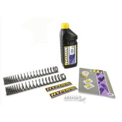 Ressorts de fourche pour Harley Davidson