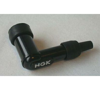 Anti-parasite NGK - LDF