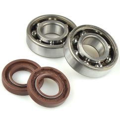 Kit roulements et joints spi de vilebrequin CENTAURO