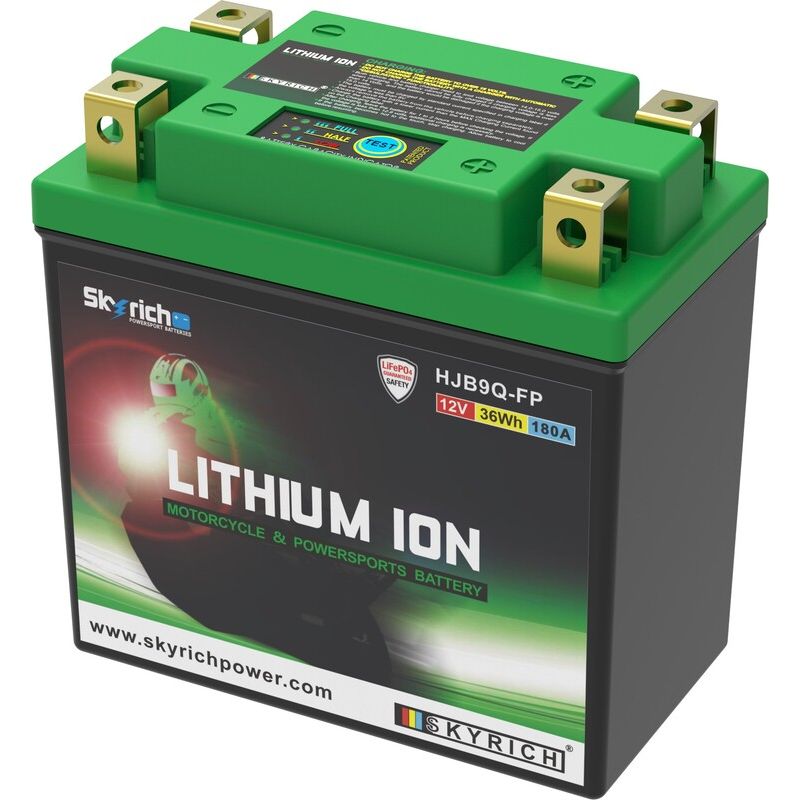 Batterie SKYRICH Lithium-Ion - LIB9 Batterie SKYRICH Lithium-Ion - LIB9