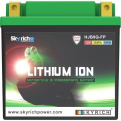 Batterie SKYRICH Lithium-Ion - LIB9 Batterie SKYRICH Lithium-Ion - LIB9