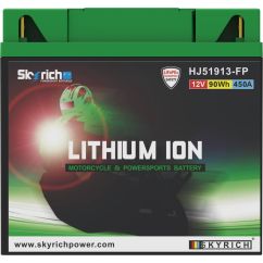 Batterie SKYRICH Lithium-Ion - 51913 Batterie SKYRICH Lithium-Ion - 51913