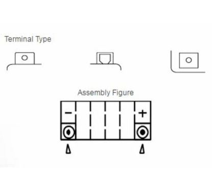 Batterie YUASA sans entretien avec pack acide - YTX14L-BS