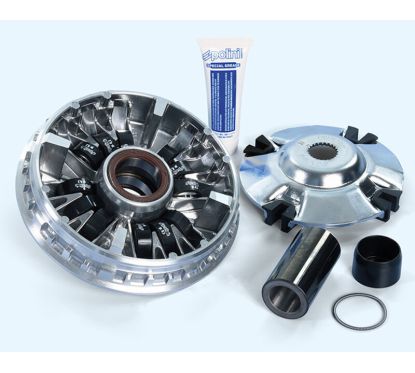 Variateur POLINI
