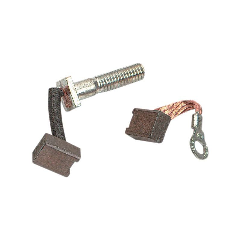 STARTER MOTOR BRUSHES