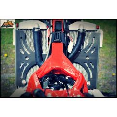 Protection de radiateur AXP aluminium - Beta RR350