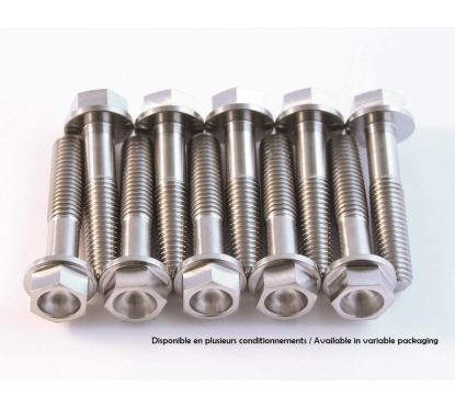 Kit vis titane SCAR M6x75 - 2 pièces