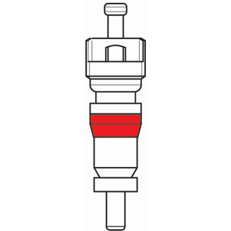 Obus de valve BIHR - x100