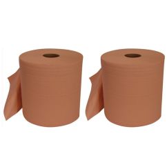 Rouleaux papier essui-main professionnel BIHR - 2 bobines de 1000 feuilles 