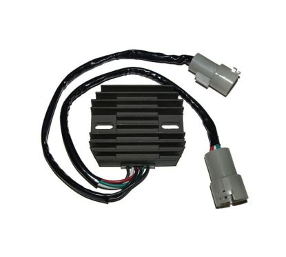 Régulateur ELECTROSPORT