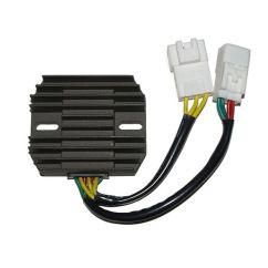 Régulateur ELECTROSPORT