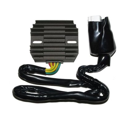 Régulateur ELECTROSPORT