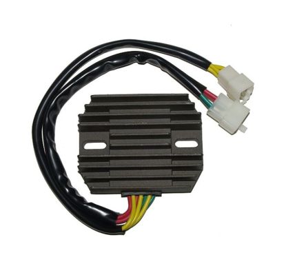 Régulateur ELECTROSPORT