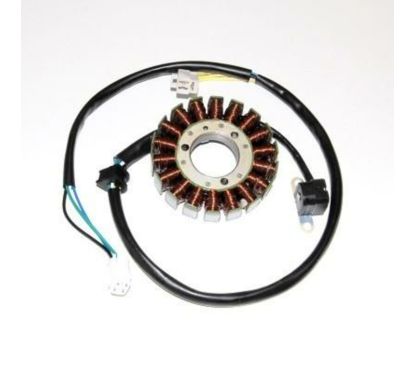Stator ELECTROSPORT