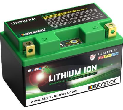 Batterie SKYRICH Lithium-Ion - LTZ14S