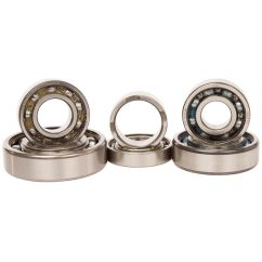 Kit roulements boîte de vitesse HOT RODS Yamaha YFZ450R