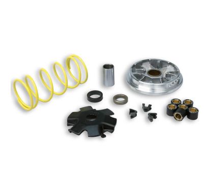 Variateur MALOSSI Multivar