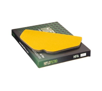 Filtre à air HIFLOFILTRO - HFA2909