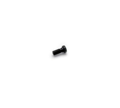 SPEEDBRAKES VIS SIMPLE M10X1.25