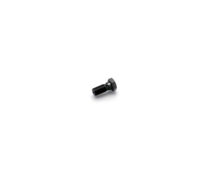 SPEEDBRAKES VIS SIMPLE M10X1.25 TITAN