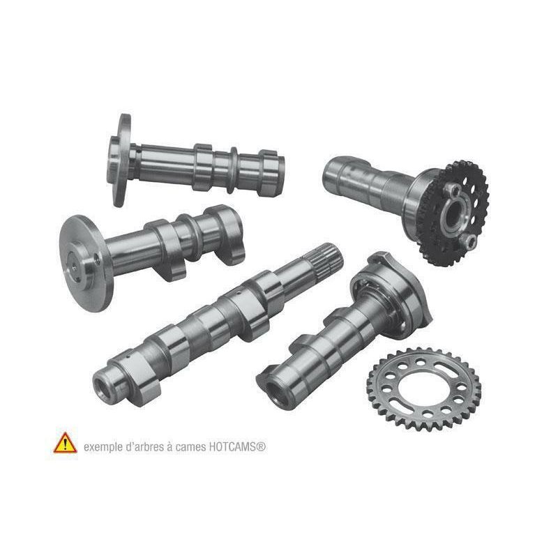 Arbre à cames échappement + admission HOT CAMS - Niveau 1 Yamaha YZ450F Arbre à cames échappement + admission HOT CAMS - Niveau 1 Yamaha YZ450F