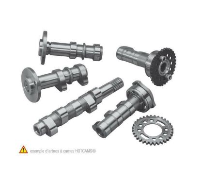 Arbre à cames échappement + admission HOT CAMS - Niveau 1 Yamaha YZ450F