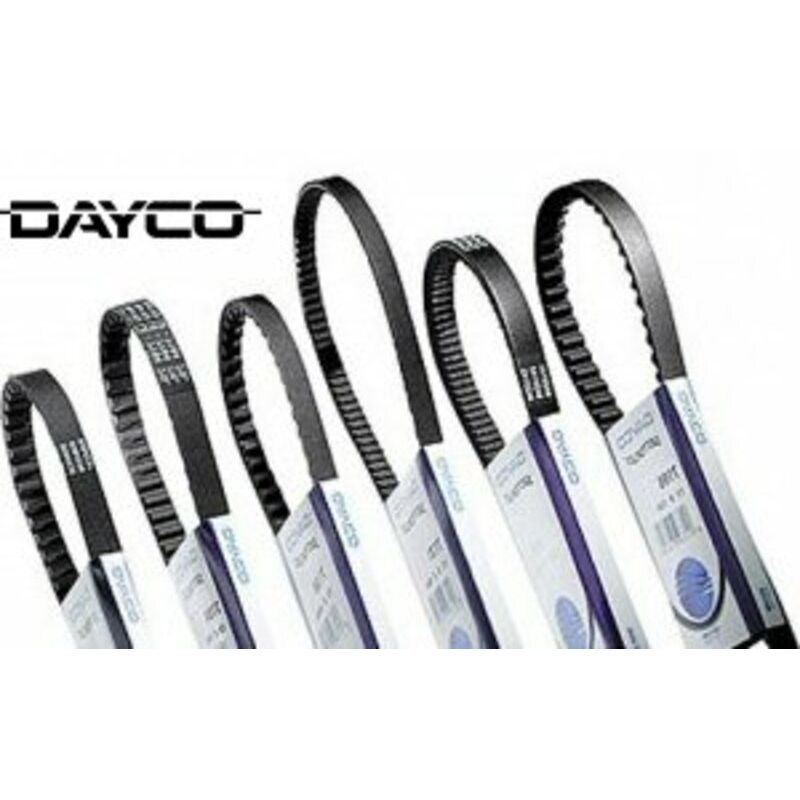 Courroie de distribution DAYCO Courroie de distribution DAYCO