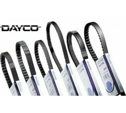 Courroie de distribution DAYCO
