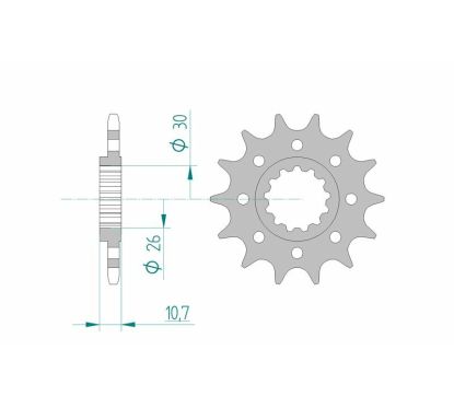 Pignon AFAM acier standard - 520