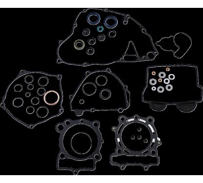 Disque BREMBO SUPERSPORT