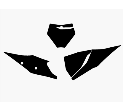 Fonds de plaque BLACKBIRD