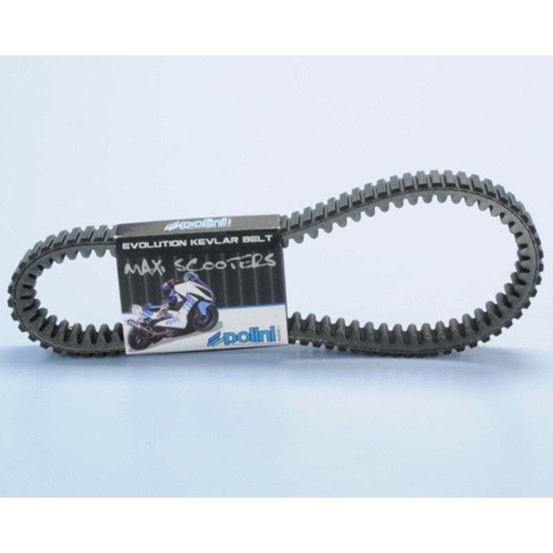 Courroie de transmission POLINI Kevlar renforcée Courroie de transmission POLINI Kevlar renforcée