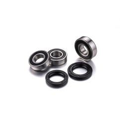 BEARING KIT RR WHEEL 02151219