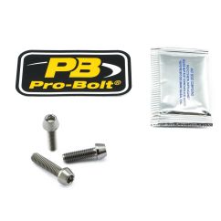 BR/CL LEV PIN BT KT TIT 06030996