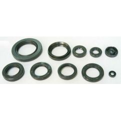 Jeu de joints spi moteur TOURMAX 1003719