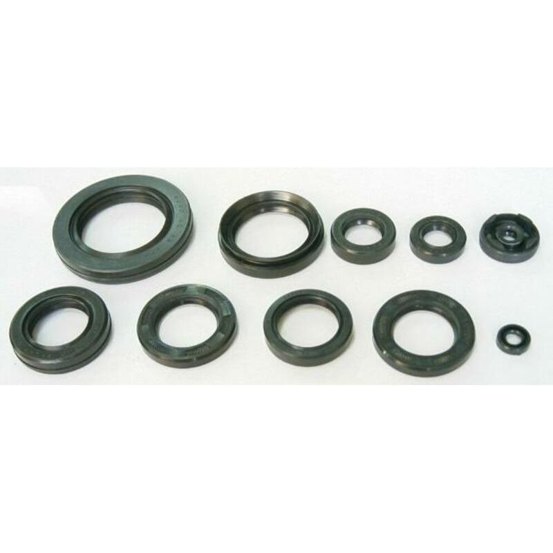 Jeu de joints spi moteur TOURMAX 1003719