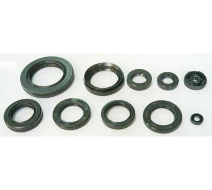 Jeu de joints spi moteur TOURMAX 1003719