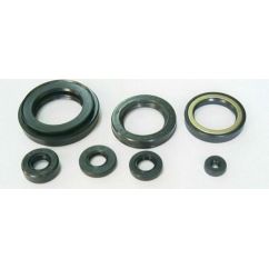 Jeu de joints spi moteur TOURMAX 1003714