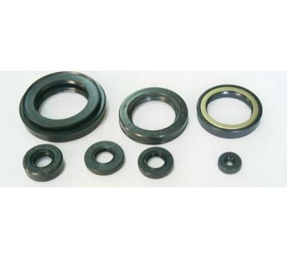 Jeu de joints spi moteur TOURMAX 1003714