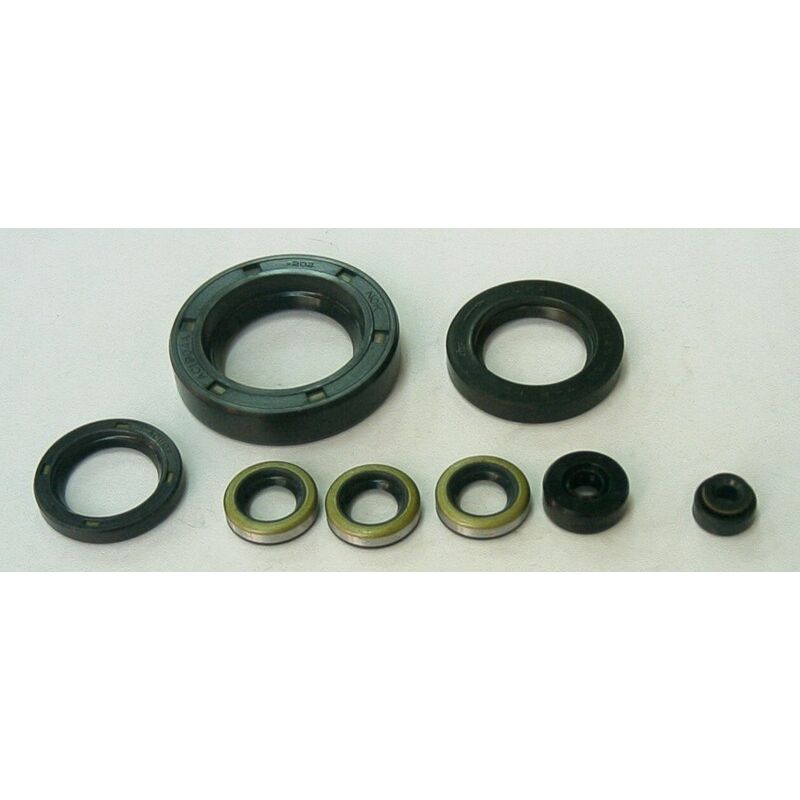 Jeu de joints spi moteur TOURMAX 1003723