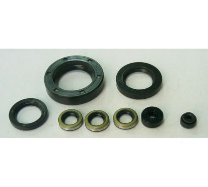 Jeu de joints spi moteur TOURMAX 1003723