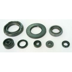 Jeu de joints spi moteur TOURMAX 1003717