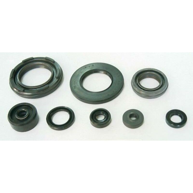Jeu de joints spi moteur TOURMAX 1003717