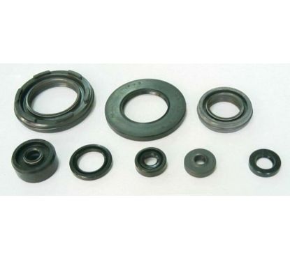 Jeu de joints spi moteur TOURMAX 1003717