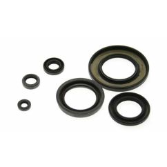 Jeu de joints spi CENTAURO 1003208