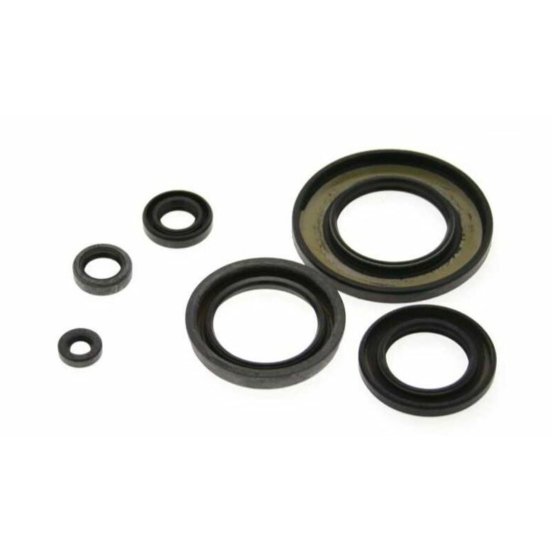 Jeu de joints spi CENTAURO 1003208