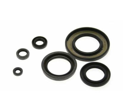 Jeu de joints spi CENTAURO 1003208