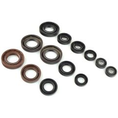 Jeu de joints spi CENTAURO 1003403