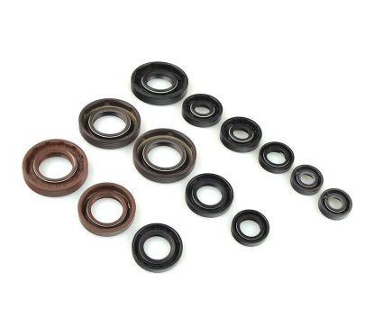 Jeu de joints spi CENTAURO 1003403